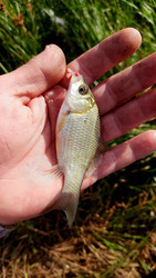 Similar image 22223139