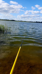 Similar image 22223140