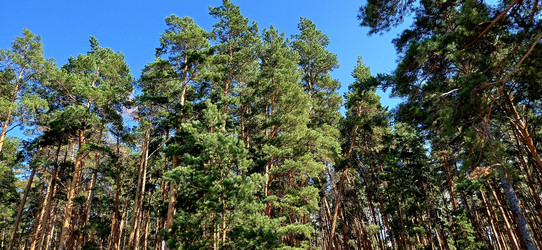 Similar image 22223146