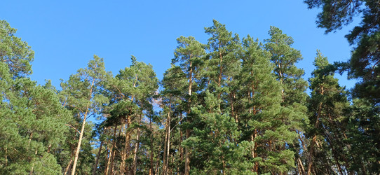 Similar image 22223147