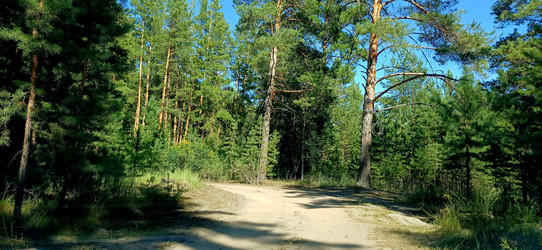 Similar image 22223149