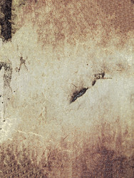 Similar image 22222508