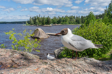 Similar image 22221946