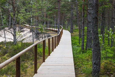 Similar image 22257888