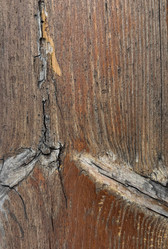 Similar image 22222566