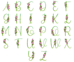 Similar image 22223023