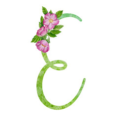 Similar image 22223025