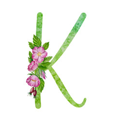 Similar image 22223029