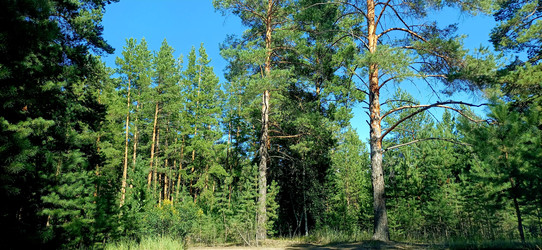 Similar image 22225532