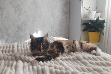 Similar image 22225538