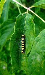 Similar image 22225541