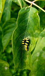 Similar image 22225543