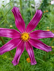 Similar image 22225547