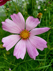 Similar image 22225548