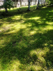 Similar image 22225551