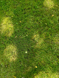 Similar image 22225552