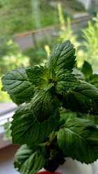 Similar image 22225553