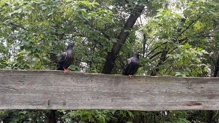 Similar image 22225559