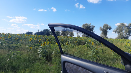 Similar image 22225560