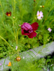 Similar image 22225566