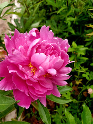 Similar image 22225567