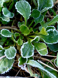 Similar image 22225568