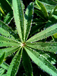 Similar image 22225569