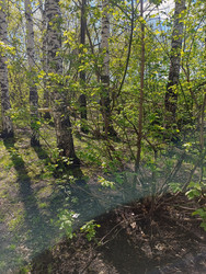 Similar image 22225572