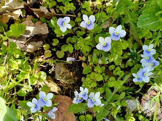 Similar image 22225573