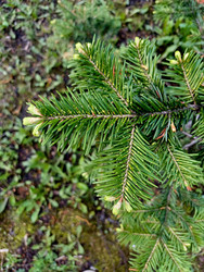 Similar image 22225574