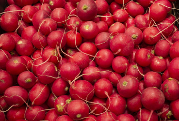 Similar image 22228206