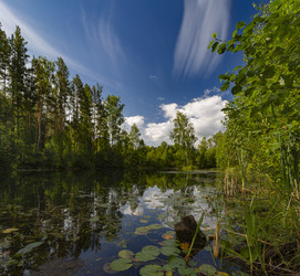 Similar image 22231331