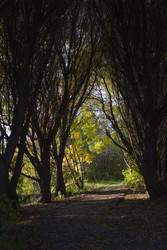 Similar image 22222823