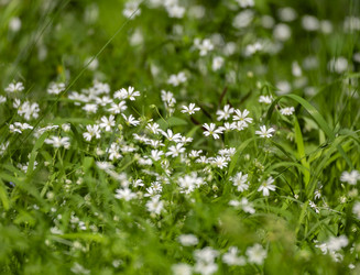 Similar image 22222824