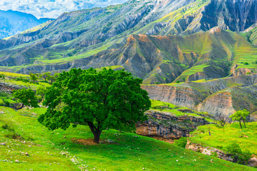 Similar image 22222705