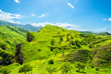 Similar image 22222729