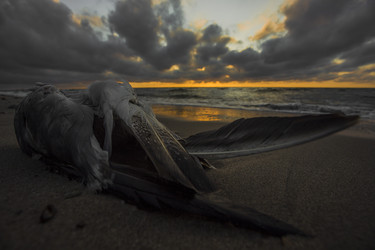 Similar image 22222576