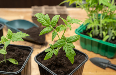 Similar image 22222837