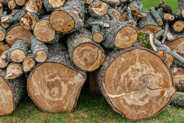 Similar image 22230397