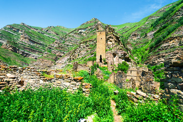 Similar image 22222759