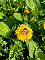 Similar image 22223152