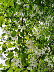 Similar image 22223272