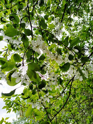 Similar image 22223273