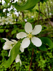 Similar image 22225582