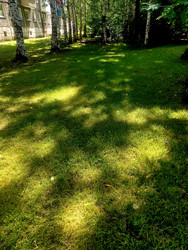 Similar image 22225587