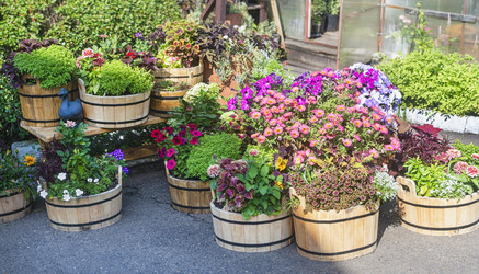 Similar image 22223159