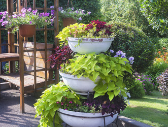 Similar image 22223162