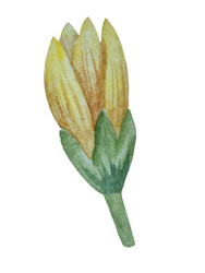 Similar image 22223073