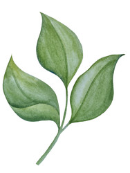 Similar image 22223074