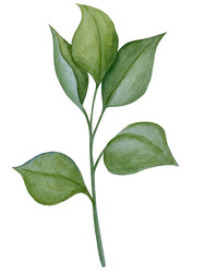 Similar image 22223075